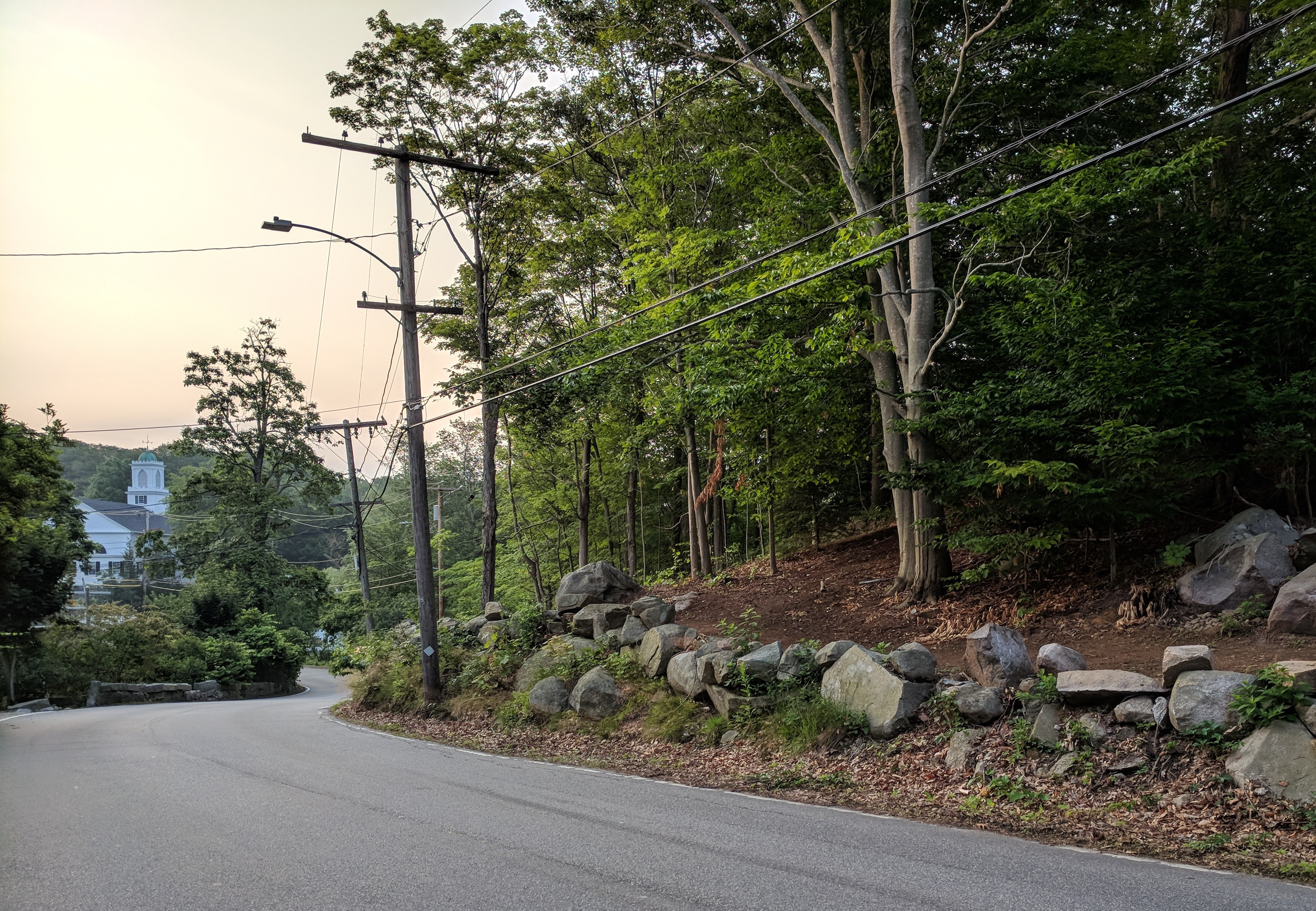 Essex County Greenbelt Annisquam Wilman Trail Lobster Cove Gloucester MA _20180702_©c ryan (5)