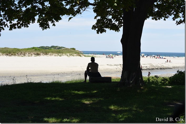 2018 7 18 Misc Walks Blvd 200