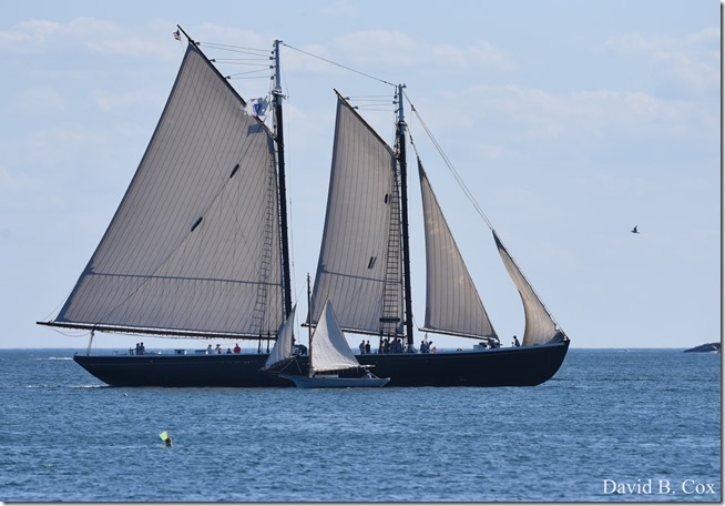 2018 7 18 Misc Walks Blvd 222