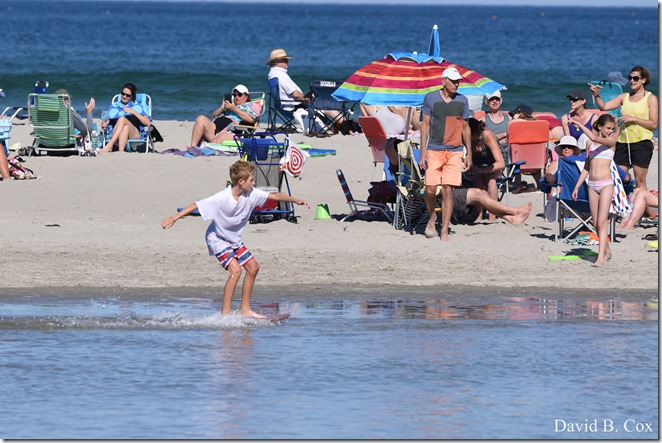 2018 7 18 Misc Walks Blvd 232