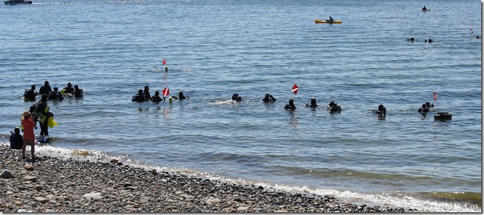 2018 7 22 Seacoast Race-Beach-Bburn Chalge 117