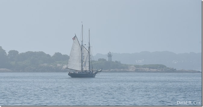 2018 7 29 Seafair Squam 029