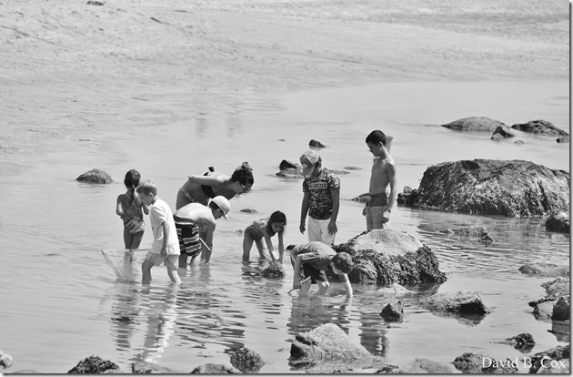 2018 8 10 GH Beach & Walks 002