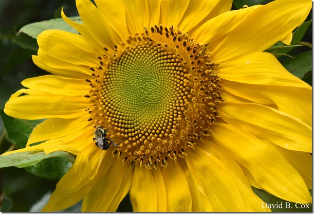 2018 8 10 GH Beach & Walks 017