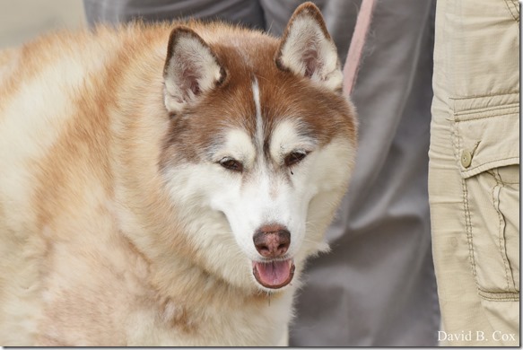 2018 8 10 GH Beach & Walks 034