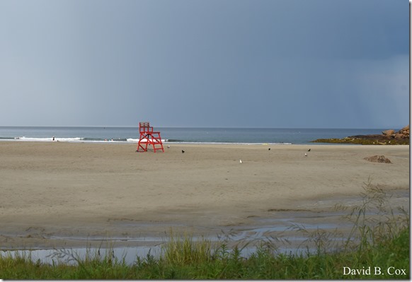 2018 8 10 GH Beach & Walks 046