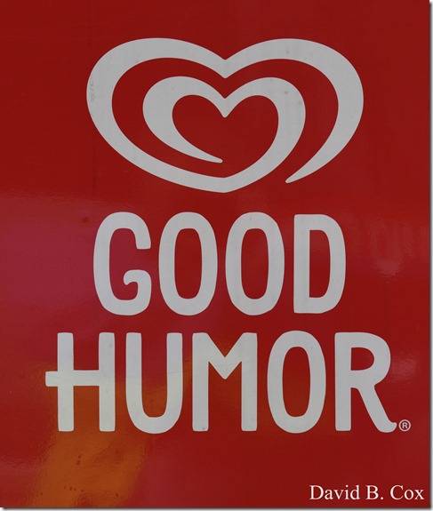 2018 8 18 Many Walks & Florals 044