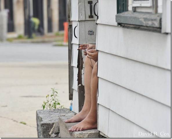 2018 8 18 Many Walks & Florals 045