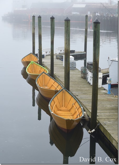 2018 8 18 Many Walks & Florals 060