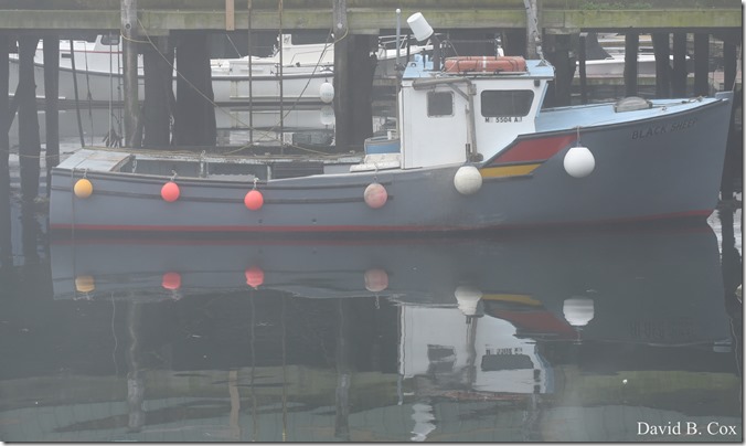 2018 8 18 Many Walks & Florals 063