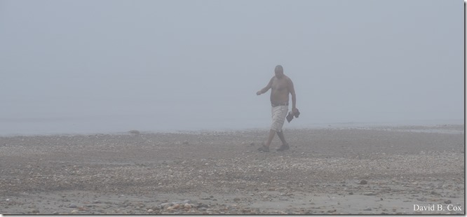 2018 8 18 Many Walks & Florals 064