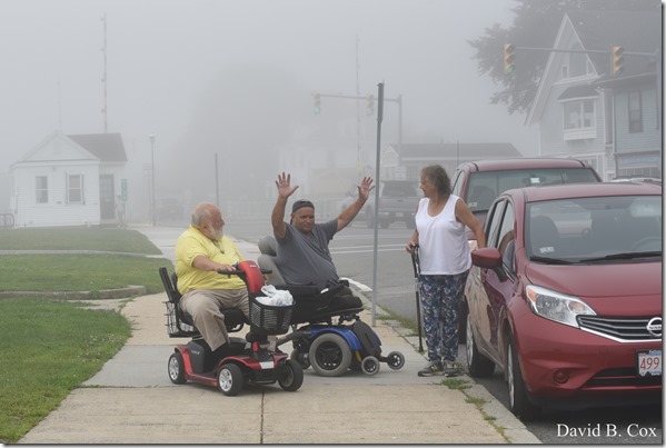 2018 8 18 Many Walks & Florals 075