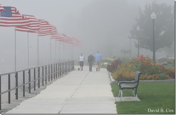 2018 8 18 Many Walks & Florals 084