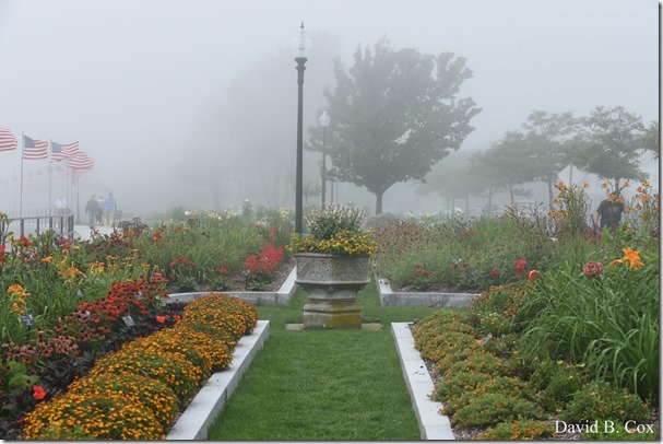 2018 8 18 Many Walks & Florals 090