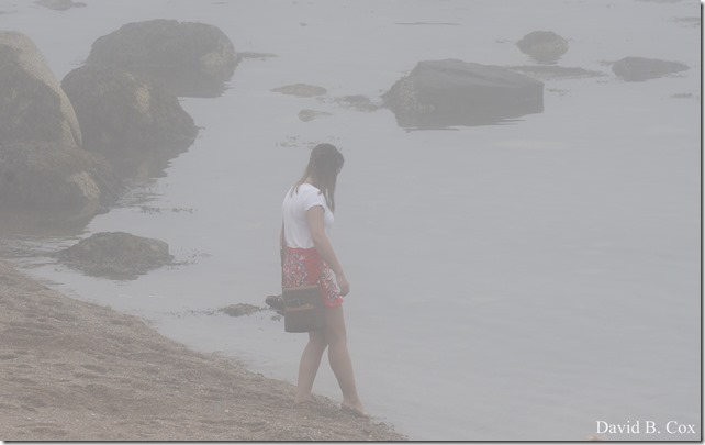 2018 8 18 Many Walks & Florals 099