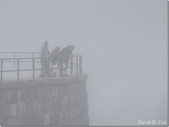 2018 8 18 Many Walks & Florals 101