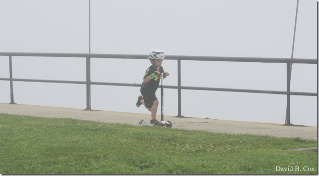 2018 8 18 Many Walks & Florals 103