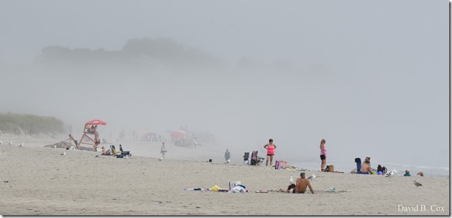 2018 8 18 Many Walks & Florals 111