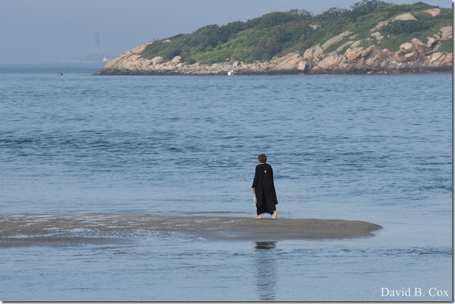 2018 8 18 Many Walks & Florals 119