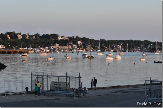 2018 8 18 Many Walks & Florals 120