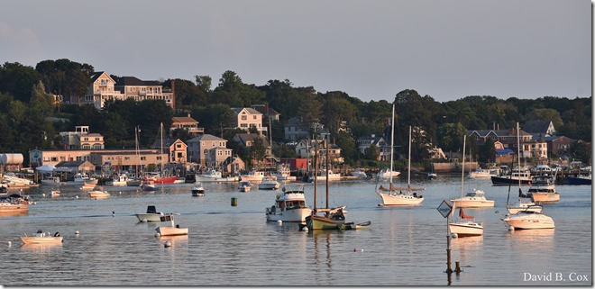 2018 8 18 Many Walks & Florals 121