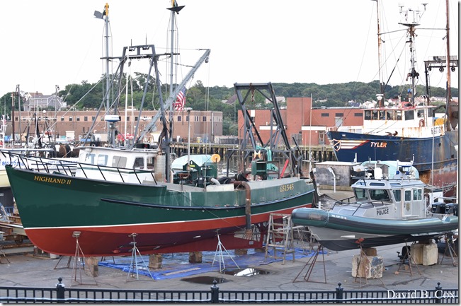 2018 8 18 Many Walks & Florals 122