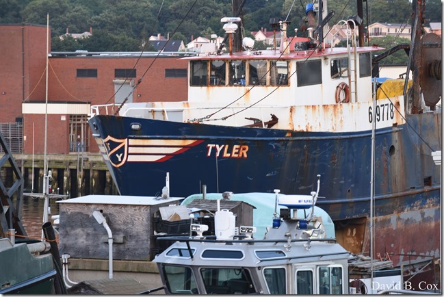 2018 8 18 Many Walks & Florals 123