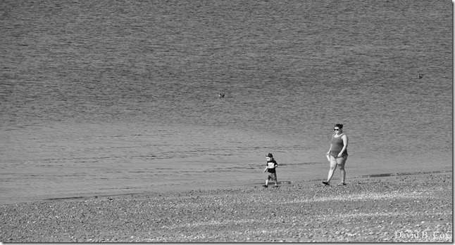 2018 8 18 Many Walks & Florals 128