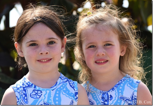 2018 8 18 Many Walks & Florals 147