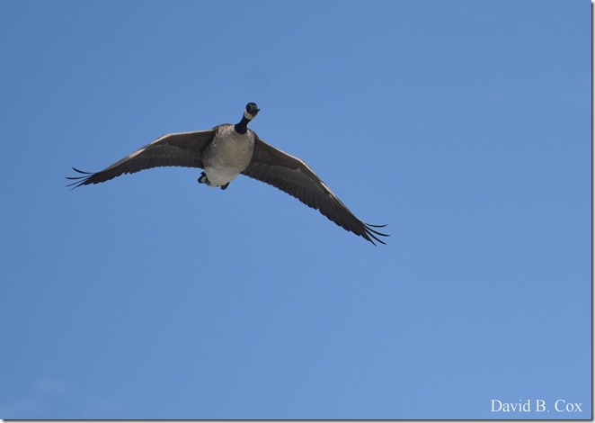 2018 8 3 Walks & Bazaar 009