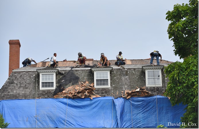 2018 8 3 Walks & Bazaar 013