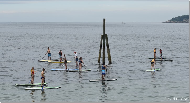 2018 8 3 Walks & Bazaar 037