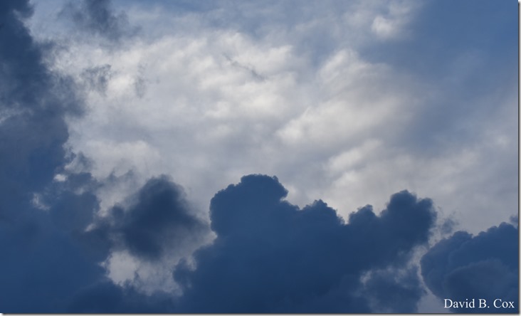 2018 8 3 Walks & Bazaar 215