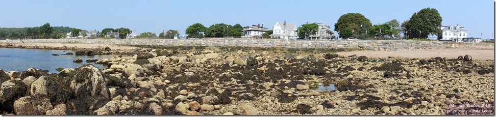 _2018_08_16_108968 Stitch