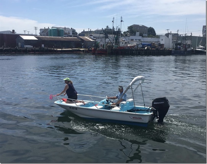 38442124_10155941964993795_6677080678053445632_o