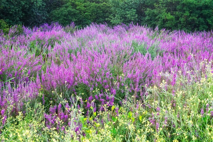 blm_8637-3016-edit-edit-edit-edit