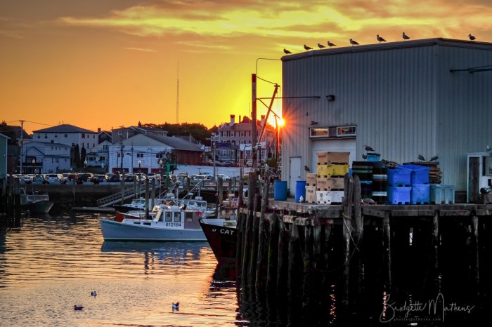 DSCF7738-3046-Edit-Edit