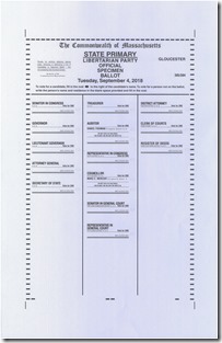 St Primary Sept 4%2C 2018 Libertarian Specimen Ballot