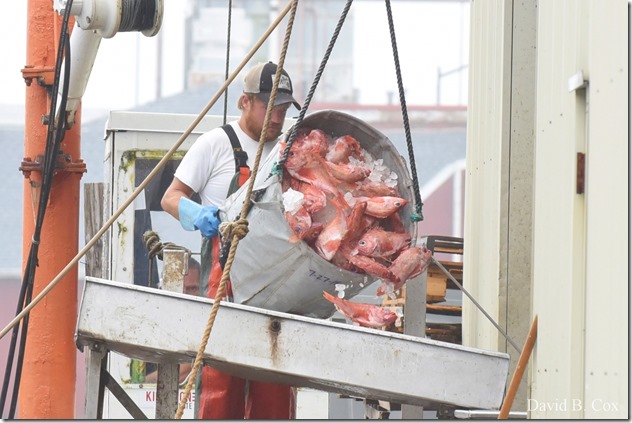 2018 9 11 Walk & Seacoast Party 005