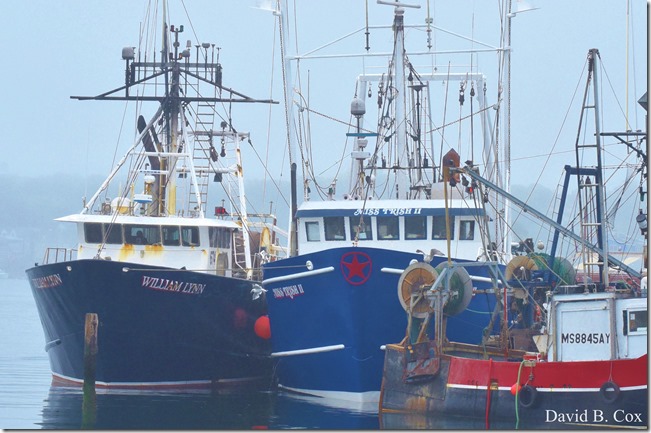 2018 9 11 Walk & Seacoast Party 007