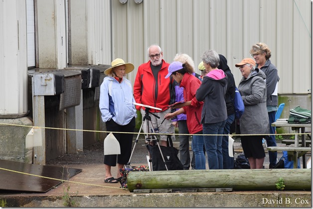 2018 9 14 Walks & Chelsea & Casey Wedding 002