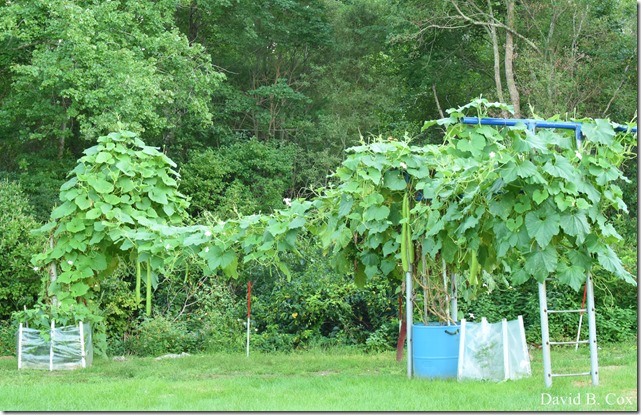 2018 9 14 Walks & Chelsea & Casey Wedding 046