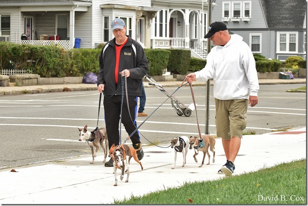 2018 9 27 Walks 041