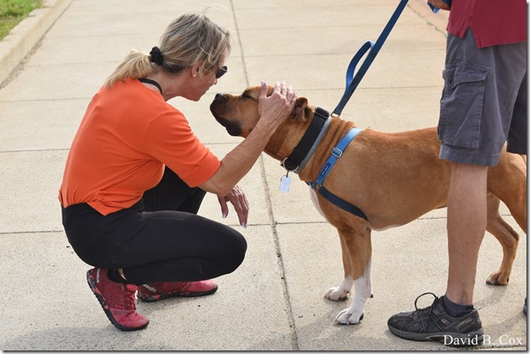2018 9 8 Germ M & V  Walks GHS FB vs Revere 033