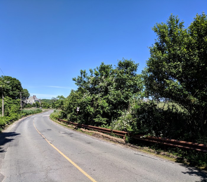 Before marsh walk _Thatcher Road_Gloucester Mass_2018 June 19_future DPW work by great marsh ©catherine Ryan