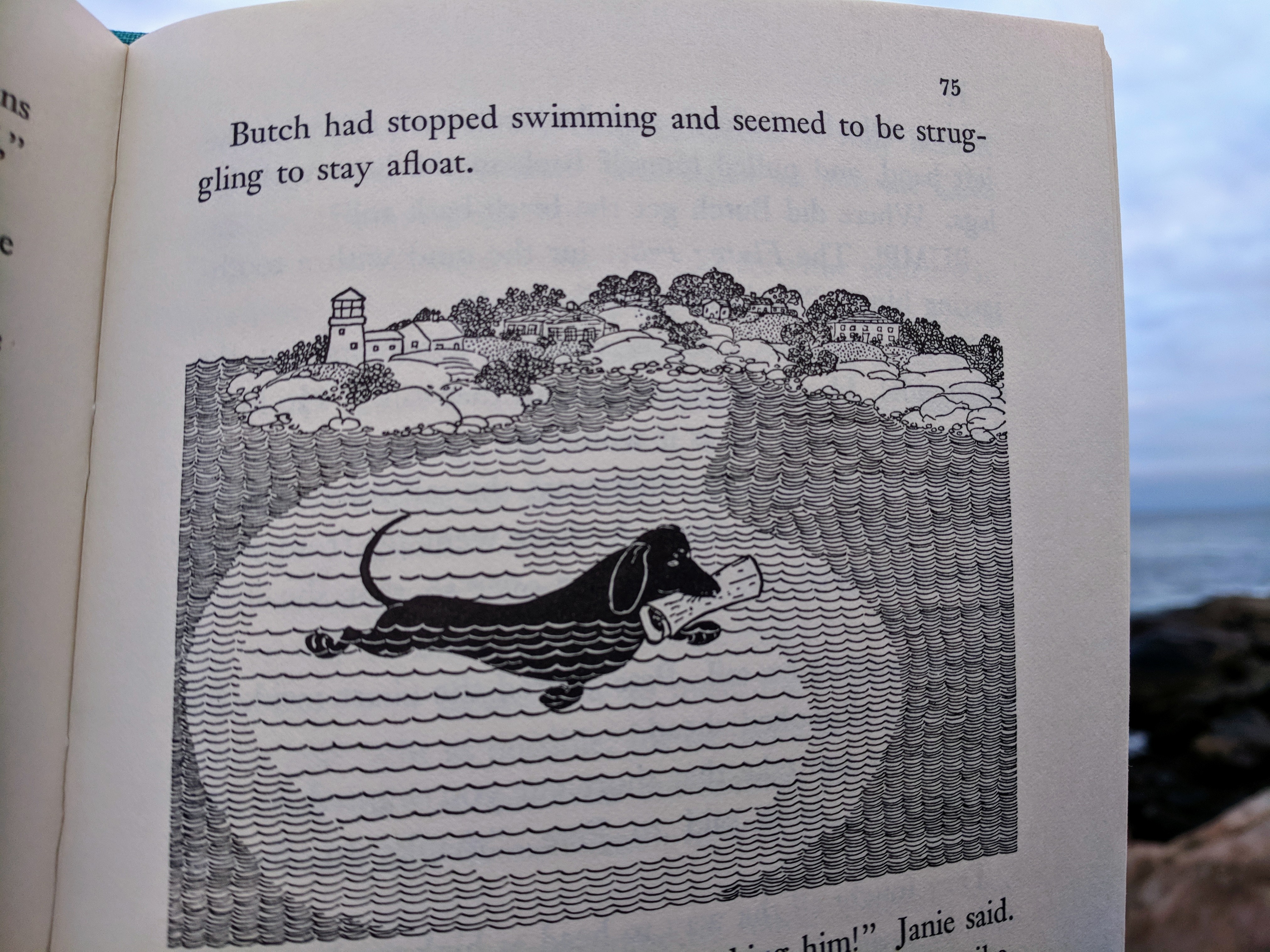 butch Petes dog_LOUISE KENYON_stellar linocut illustrations for Driftwood Captain by Paul B Kenyon 1956