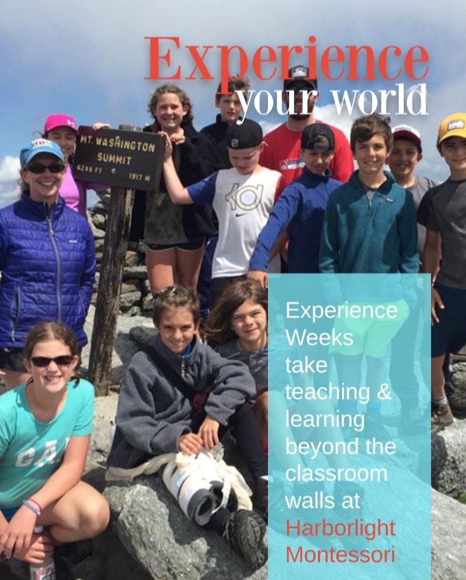 Screen Shot 2018-08-30 at 12.57.51 PM