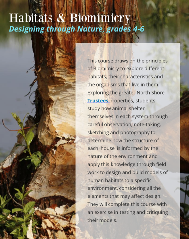 Screen Shot 2018-09-12 at 12.21.32 PM