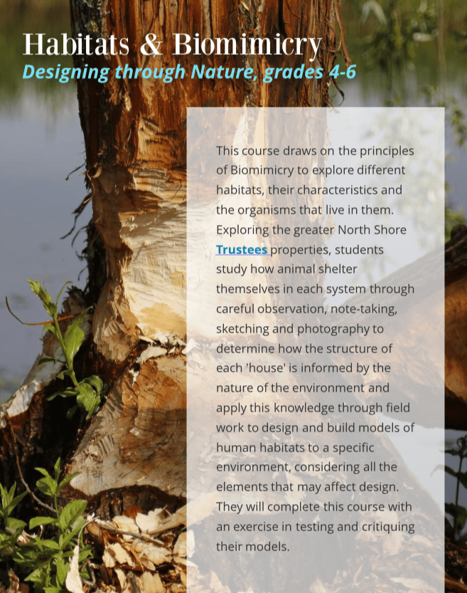 Screen Shot 2018-09-12 at 12.21.32 PM