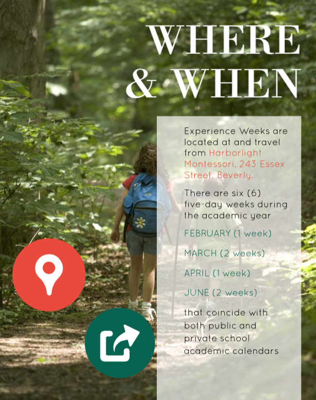 Screen Shot 2018-09-12 at 12.27.35 PM